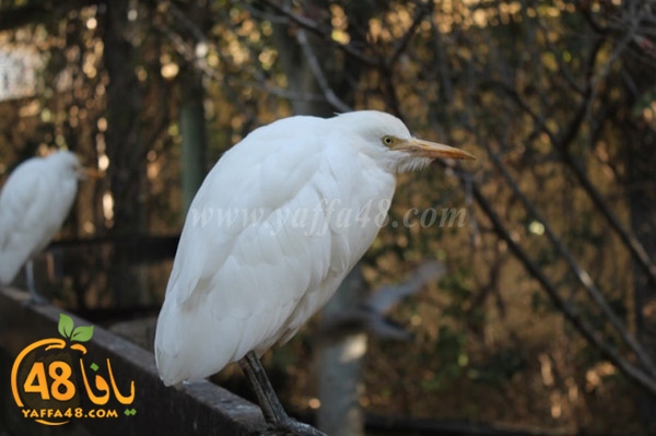 re7la 7eifa (55).JPG